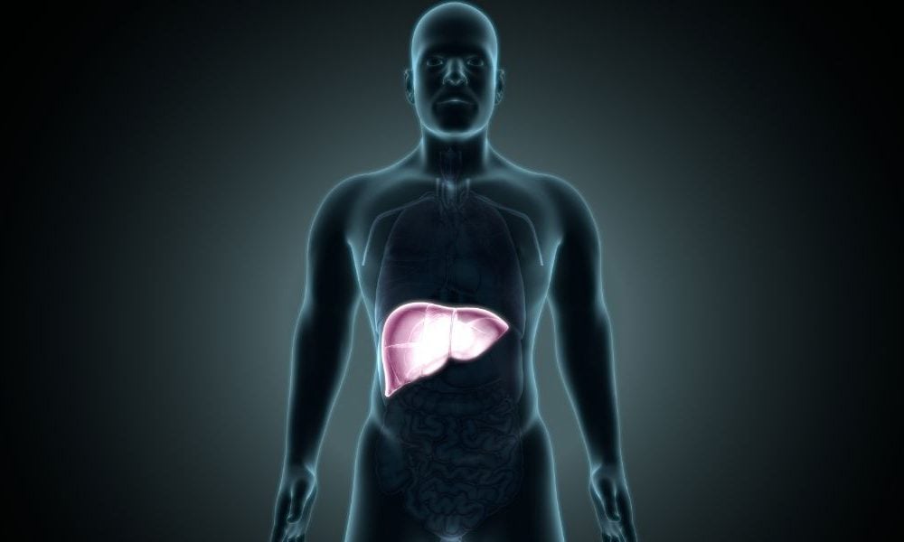 Understanding the Role of the Liver in Detoxing