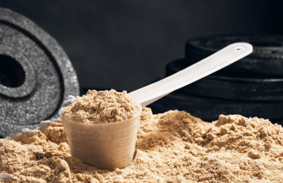 Is It feasible to combine creatine and protein powder as dietary supplements?