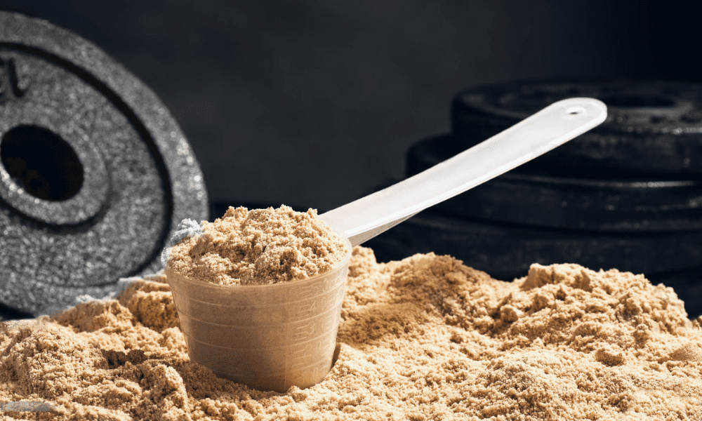 protein powder as dietary supplements