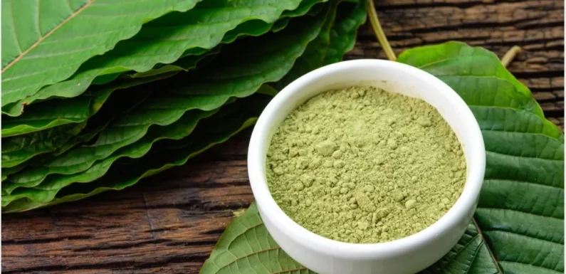 Beyond the basics – Exploring the world of kratom gummies