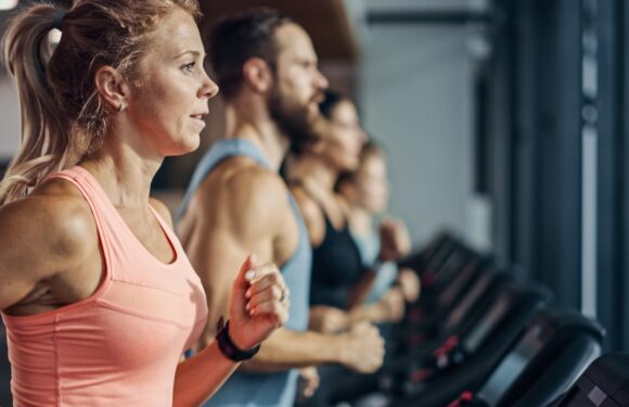 Unlocking the Power of Fitness: A Comprehensive Guide to Gym Workouts