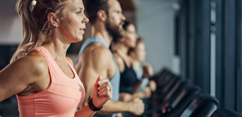 Unlocking the Power of Fitness: A Comprehensive Guide to Gym Workouts