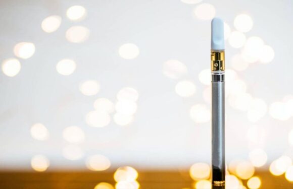 Exploring the diversity of weed pens – Options for every preference