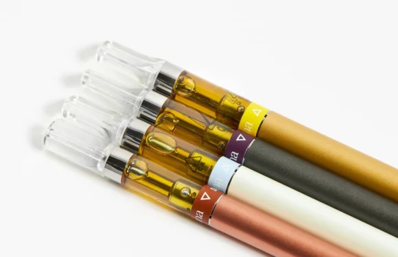 Decoding the puzzle- Which THC cartridge and how to use it?