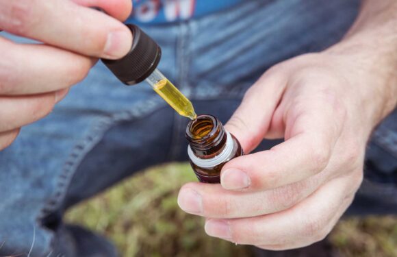 Why Is It Necessary to Use CBD Oil Every Day?