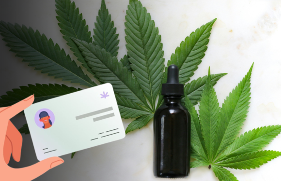 What Are the Steps to Getting an MMJ Card for Medical Cannabis?
