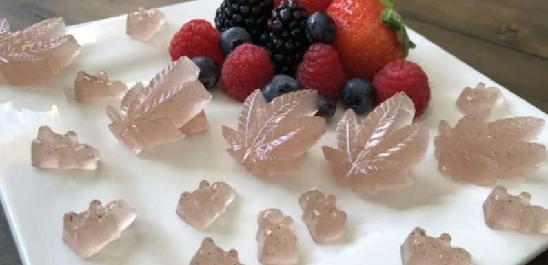 From Plant to Palate: The THC Gummies Experience