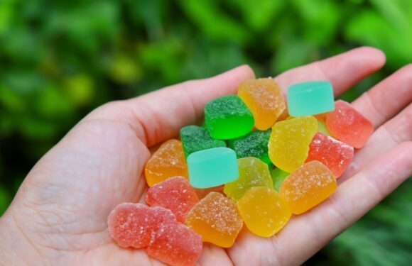 Gummy Galore: 50 Flavors of THC Gummies You Need to Try