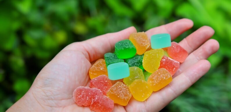 Gummy Galore: 50 Flavors of THC Gummies You Need to Try