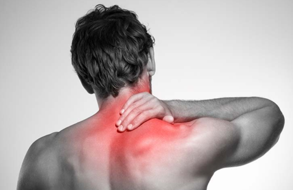 From Diagnosis to Recovery: The Role of a Pinched Nerve Chiropractor in Your Healing Journey