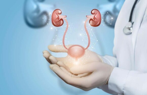 Signs It is Time to Consult a Urologist in Singapore