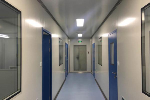 Cleanroom Flooring