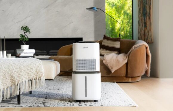 Pet Parents, Rejoice! How an Air Purifier Can Transform Your Home (and Your Pet’s Health)