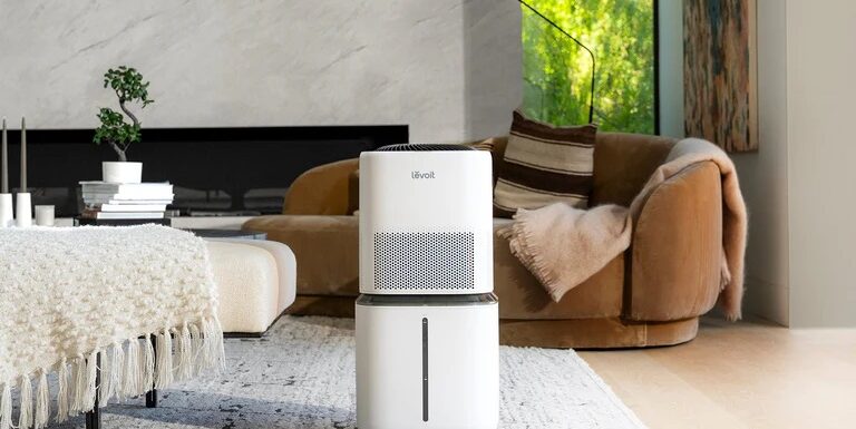 Pet Parents, Rejoice! How an Air Purifier Can Transform Your Home (and Your Pet’s Health)
