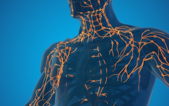 Not All Massages Are Created Equal (And Your Lymphatic System Knows It)